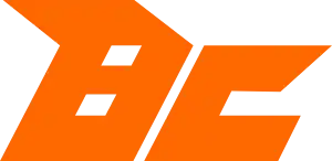 株式会社BUDDICA